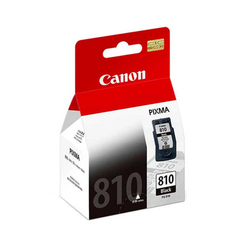 Canon Ink Cartridge PG-810 Black