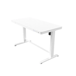 Loctek Electric Lifting Desk