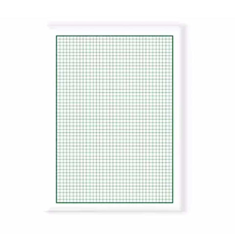 Ordinary Graphing Paper