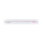 Orion Ruler 6"